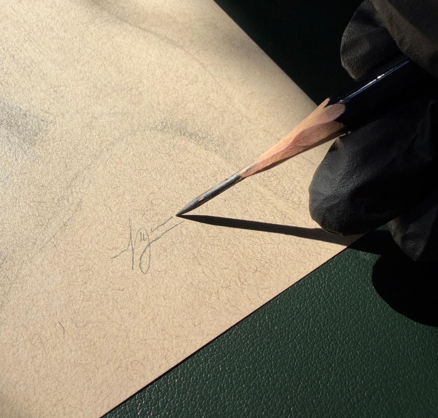 Portrait Study Nr. 4 Original Drawing